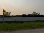 CN 8103